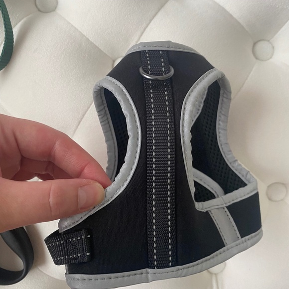 💘🐶 NEW PUPPY BUNDLE 🐶 🎁 XS Leash/Harness/Collar - Picture 8 of 11